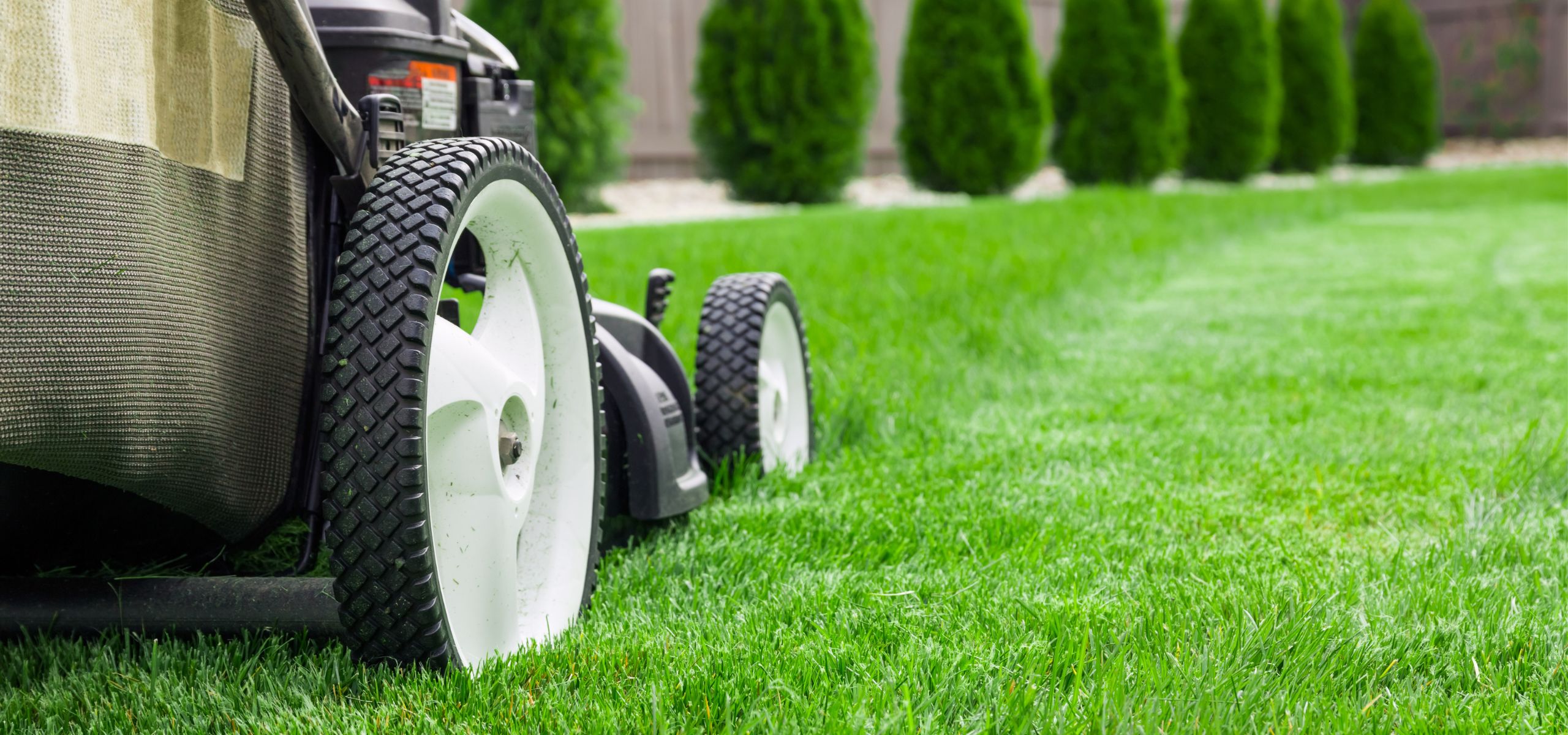 F.M Stewart Gardening providing lawn care